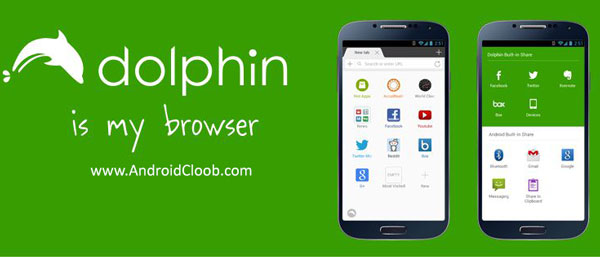 Dolphin دانلود Dolphin Browser: Fast, Private v12.4.1 مرورگر اینترنت دلفین اندروید